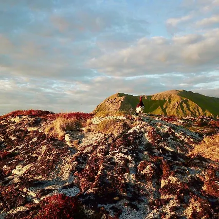Апартаменты Fishermans View Lofoten